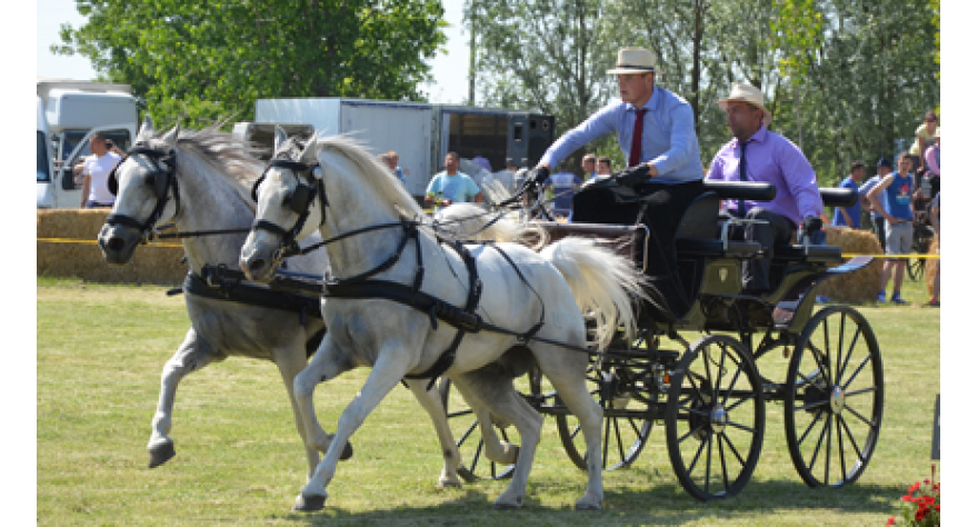 Fijakerijadom zaključeni Dani Opštine Pećinci